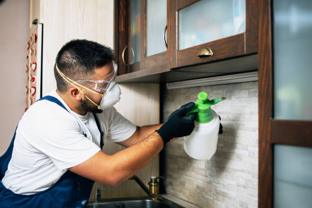 Best Insect Control  in Garyville, LA
