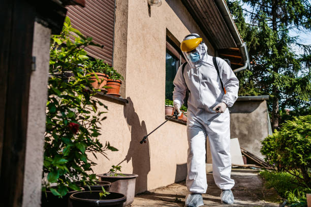 Best Affordable Pest Control Services  in Garyville, LA