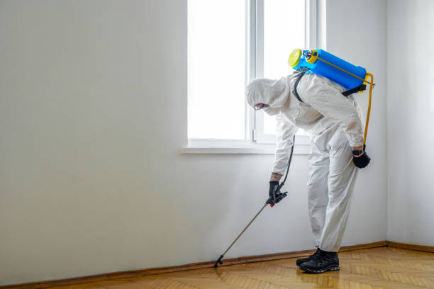 Best Flea Control Services  in Garyville, LA