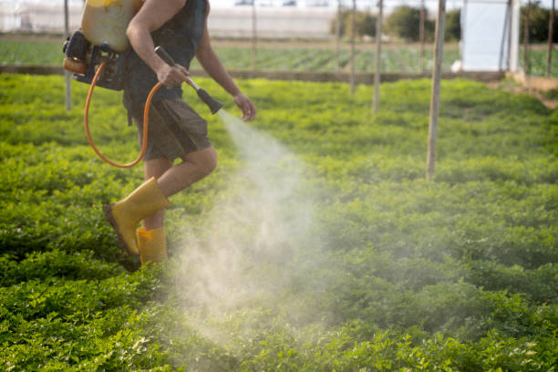 Best Pest Removal Services  in Garyville, LA
