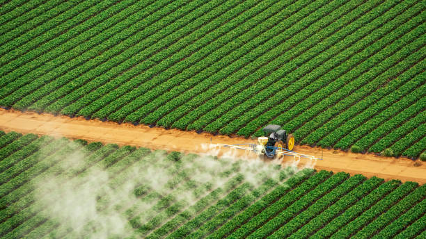 Best Pest Inspection Near Me  in Garyville, LA