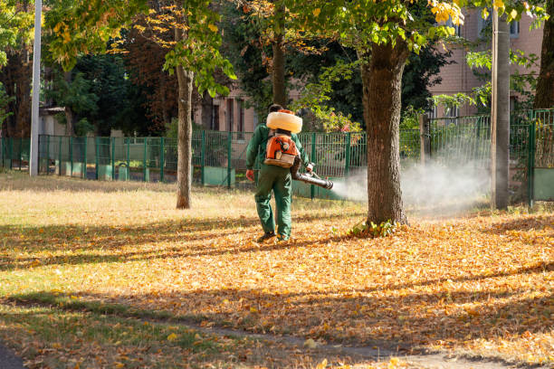 Best Pest Prevention Services  in Garyville, LA