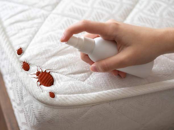 Best Best Pest Control Companies  in Garyville, LA