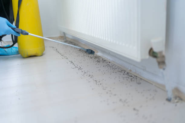 Best Emergency Pest Control  in Garyville, LA